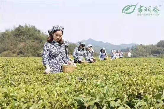 【雅诗总会】《江南风诗刊》三社看图写诗比赛(第二十八期)(湖南古洞春农业集团冠名赞助)(图8)