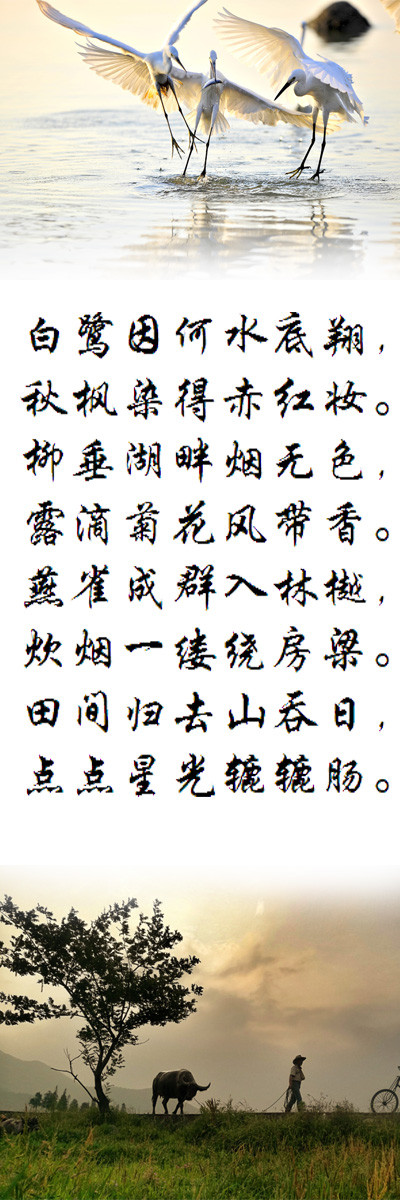 西风《七律·暮归》诵/玉华（图2）
