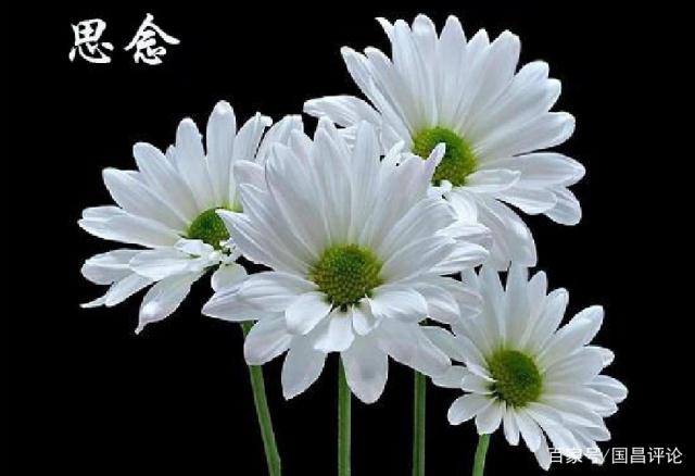 【华夏好诗词】分享刘旭平诗词一组请欣赏(图8)