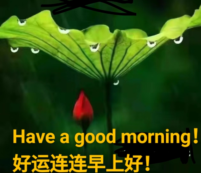 关盛琼壬寅七月抒怀《寄语》｜金牌主播老革命｜中国桂柳之春都市文学社83期（图5）
