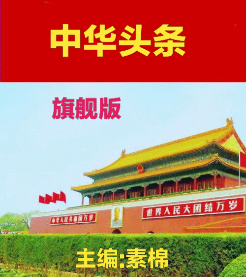 咏莲花 文/张会伟