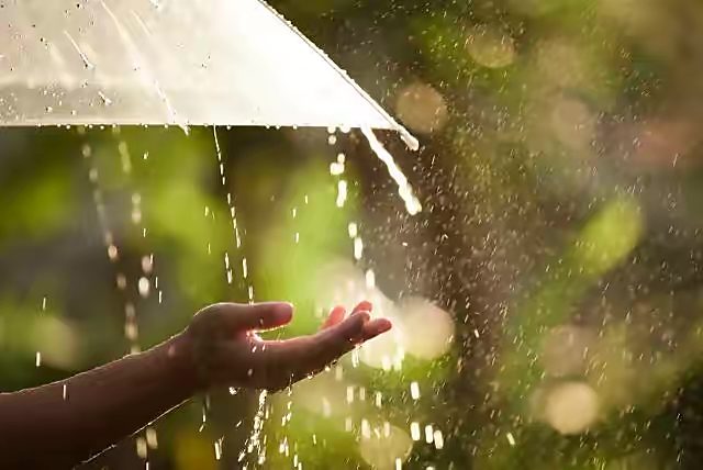 【新诗大观】檐下滴雨声（散文）||文/杜海军（图5）