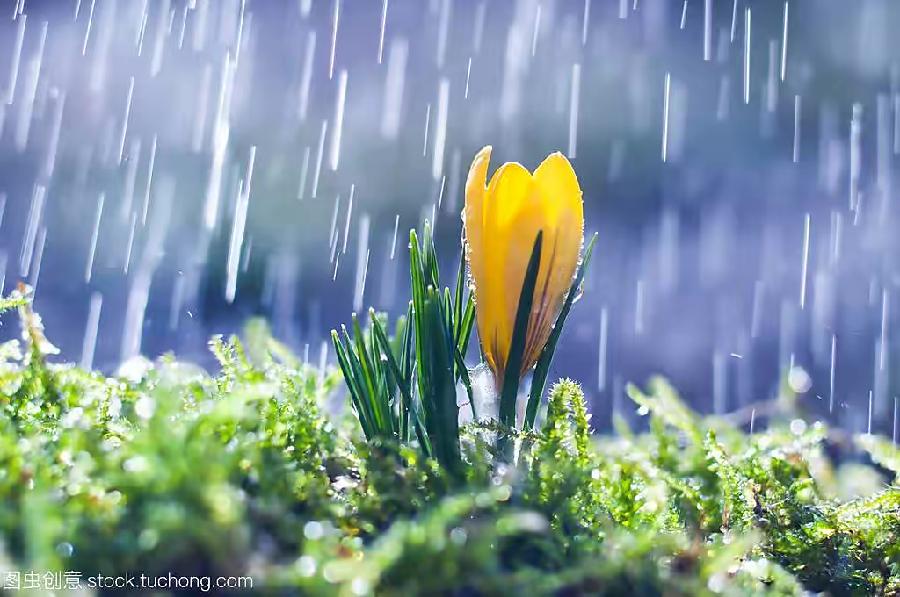 【新诗大观】檐下滴雨声（散文）||文/杜海军（图3）
