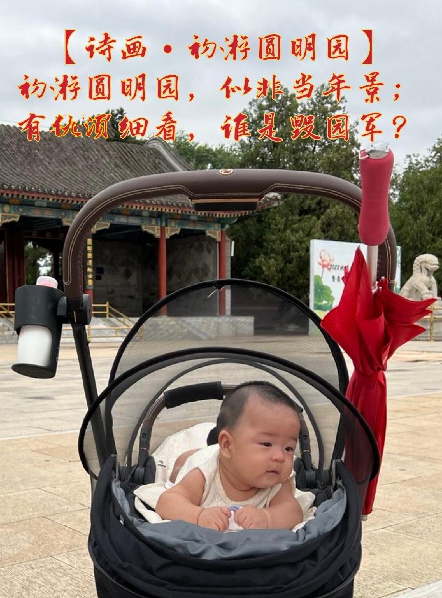 【诗画•潇洒】十二首（图2）