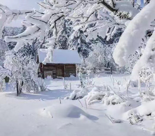 【海外诗译】精品双语合诵《雪》作者|周书良、英译|静好、审译|任诚刚、合诵|清风&薇薇、荐稿|王文(图4)
