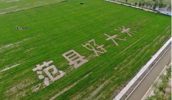 微信图片_20220712164818.jpg