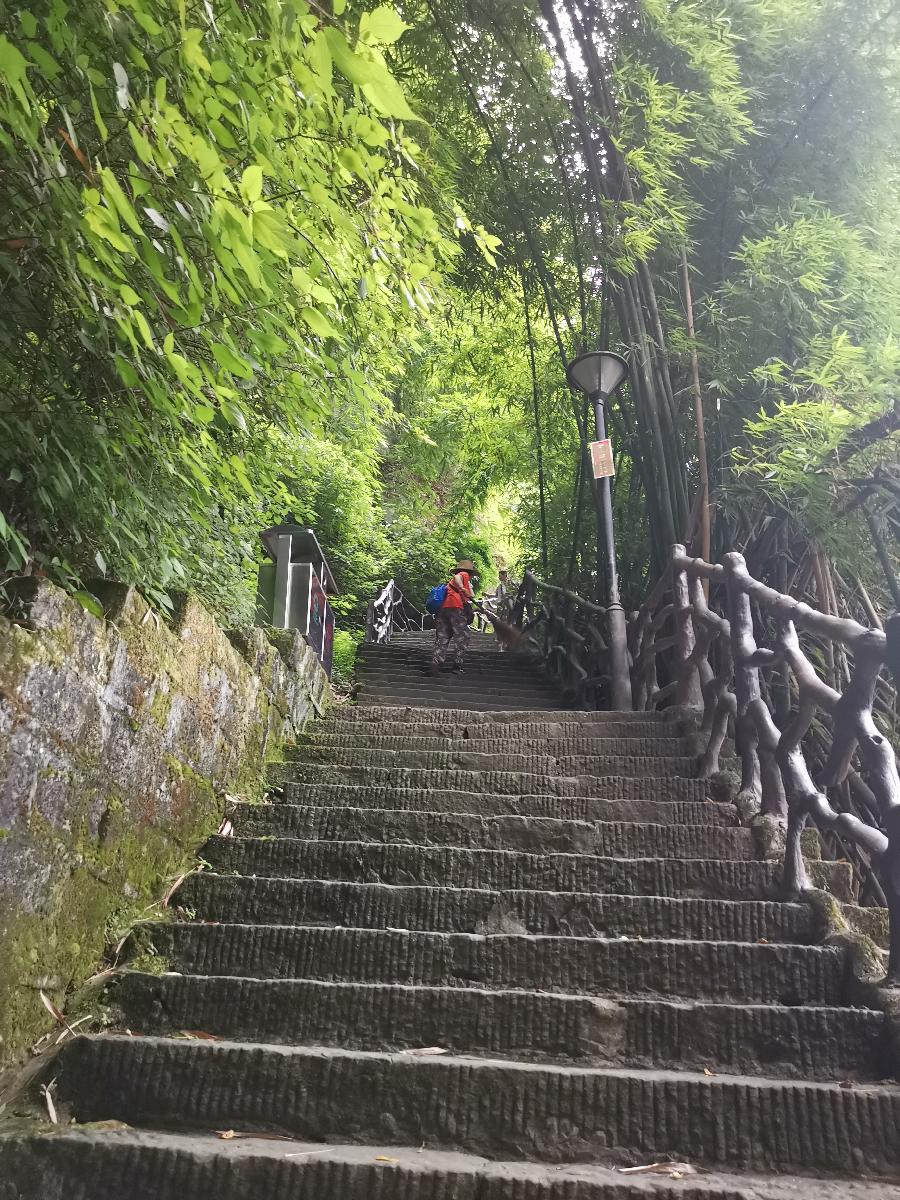诗意传情诗社【回乡偶感（五首）】文‖兰光武 诵‖夜空的星（914）（图7）