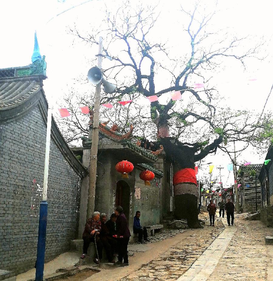 寻美井陉•同心筑梦 | 组照《魅力核桃园》| 吴义刚 #寻美中国（图4）