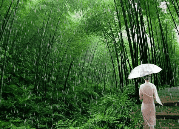 【华夏好诗词】推介胡清普新赋请欣赏（图4）