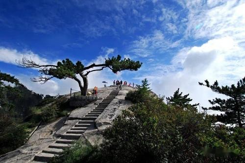 弘华朗诵【好大一棵树】作者/蓝波（图5）