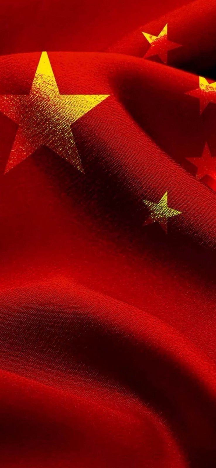 弘华朗诵【好大一棵树】作者/蓝波（图3）
