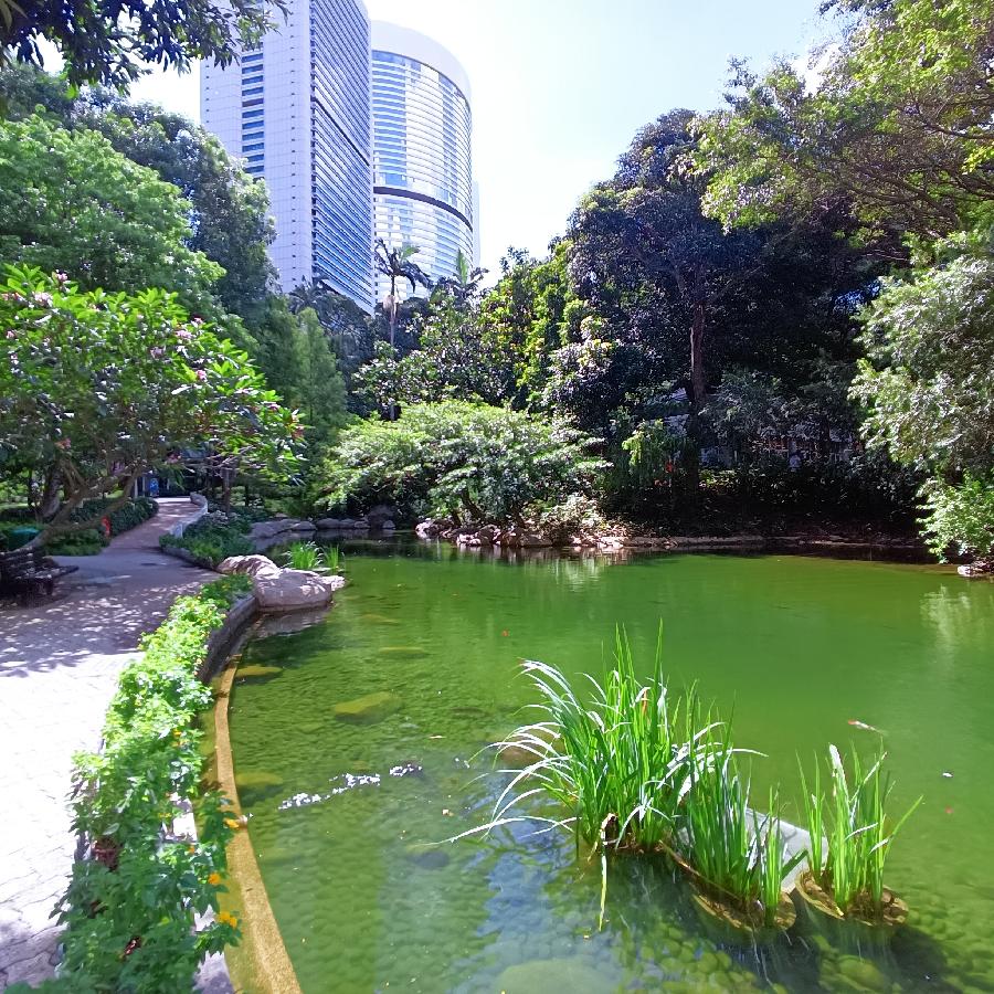 鱼游浅底（图15）