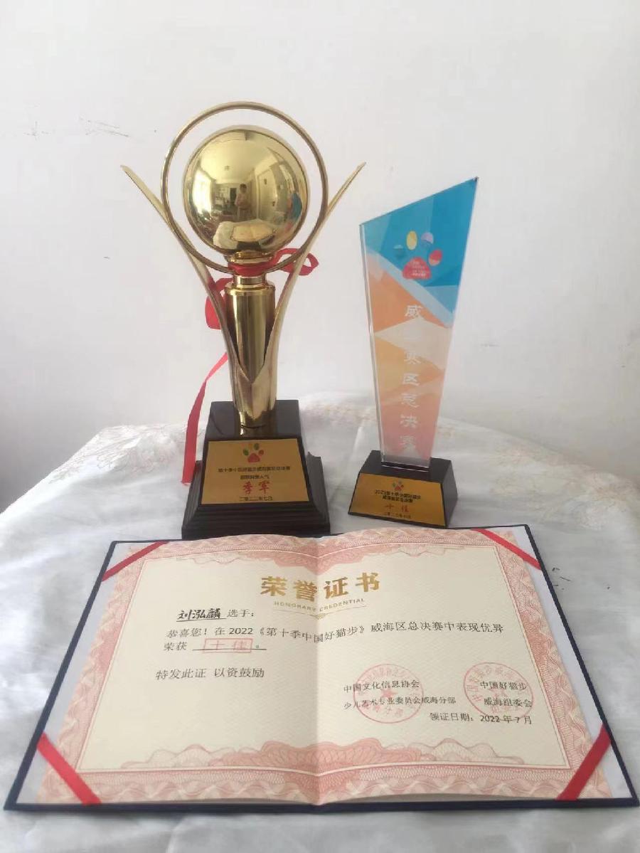 世界诗坛精英网*有声平台∥金V诗人:婉萍《刘泓麟的中国好猫步》主播:姹紫嫣红(图6)