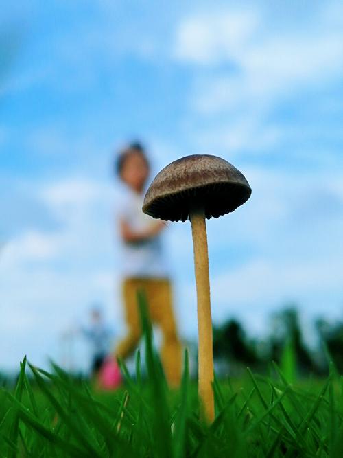 【新山东文学社】《尘封在记忆里的七月》作者/张秀祥 主播/雨花石（图5）