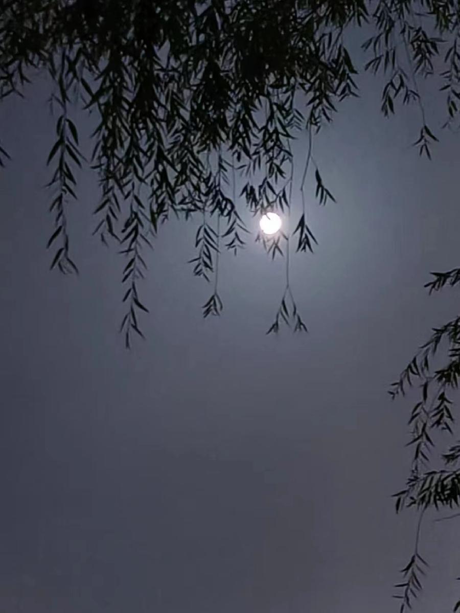 天文奇观（图2）