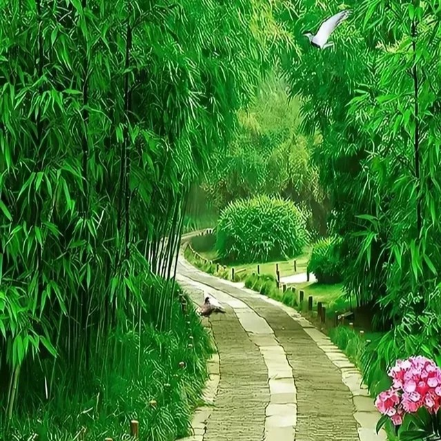 【雯荔之声】江琴诵读：我微笑着走向生活（图2）