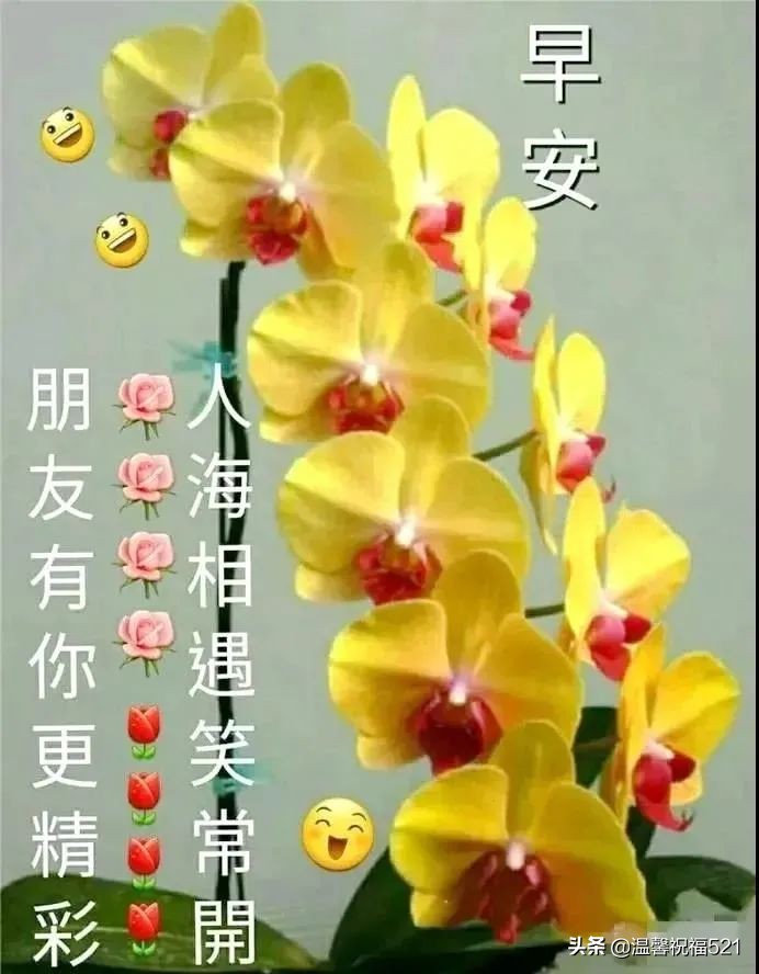 田向洪老师精品语录（图3）