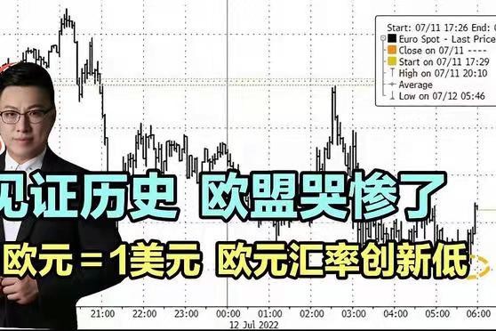 金字经-见证历史:1欧元=1美元*文/冯志清 (上海)【冰心文化传媒】 主编冰心(图3)