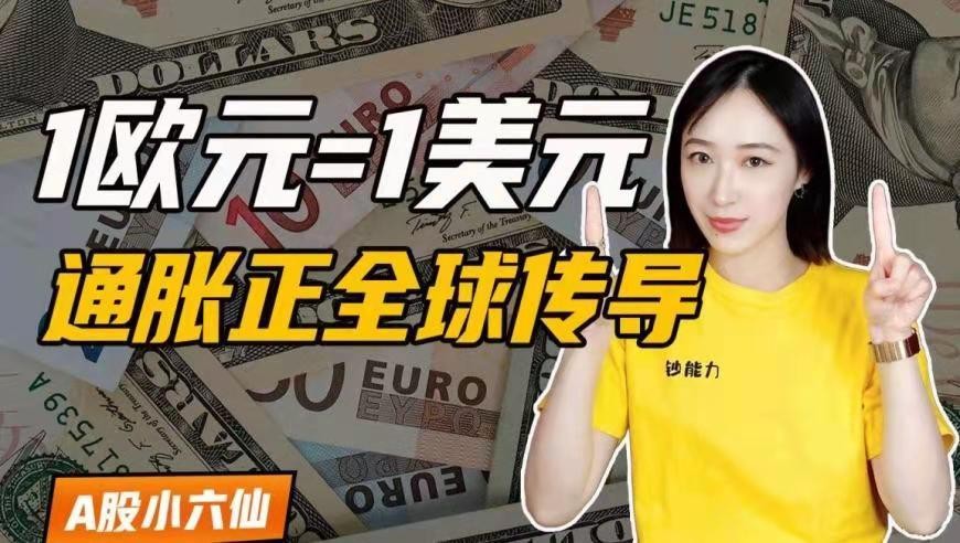 金字经-见证历史:1欧元=1美元*文/冯志清 (上海)【冰心文化传媒】 主编冰心(图4)