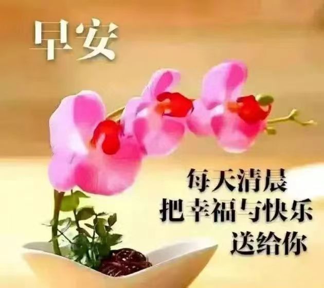 朱江萍老师精彩早安心语(图7)