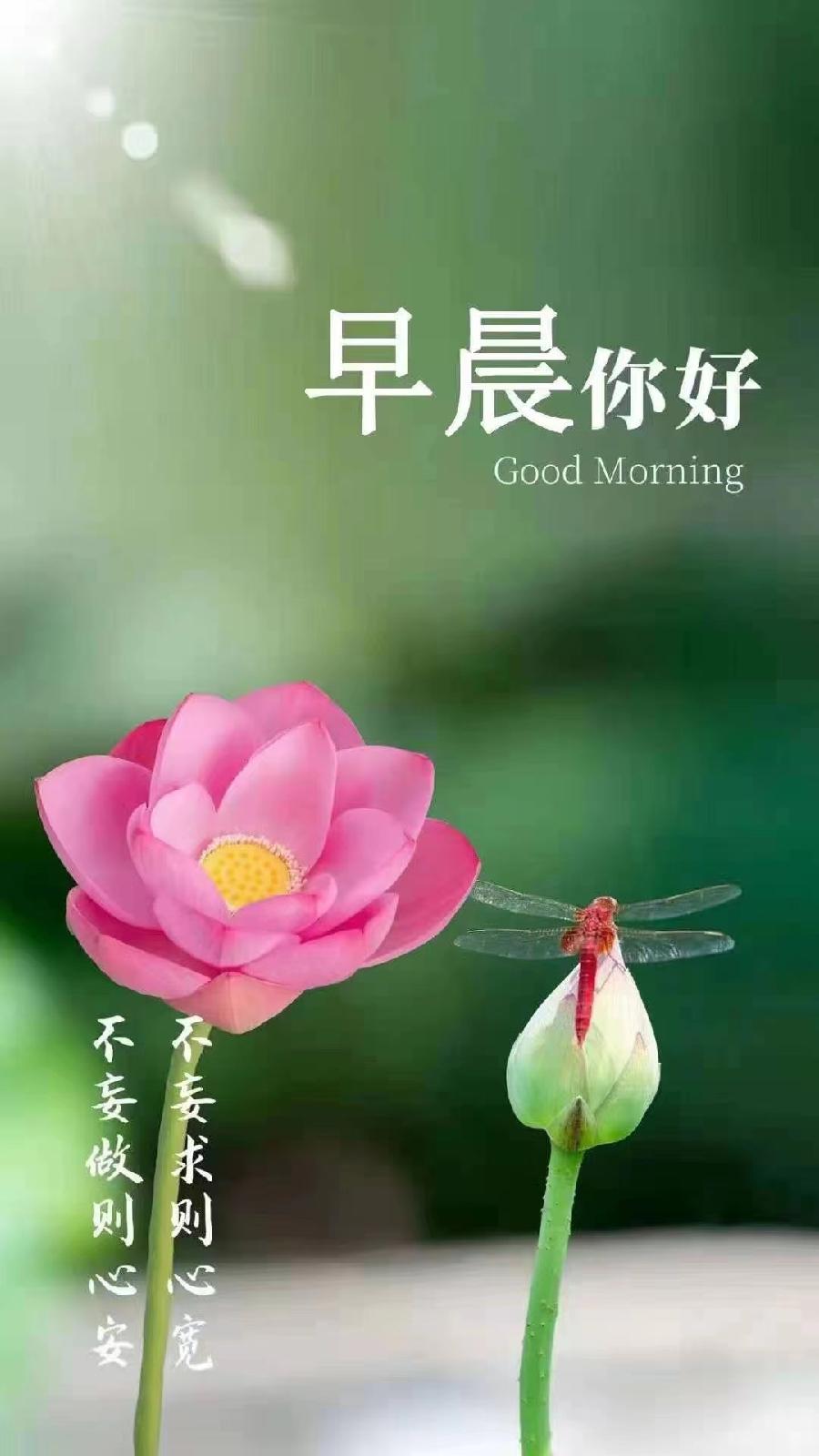 朱江萍老师精彩早安心语