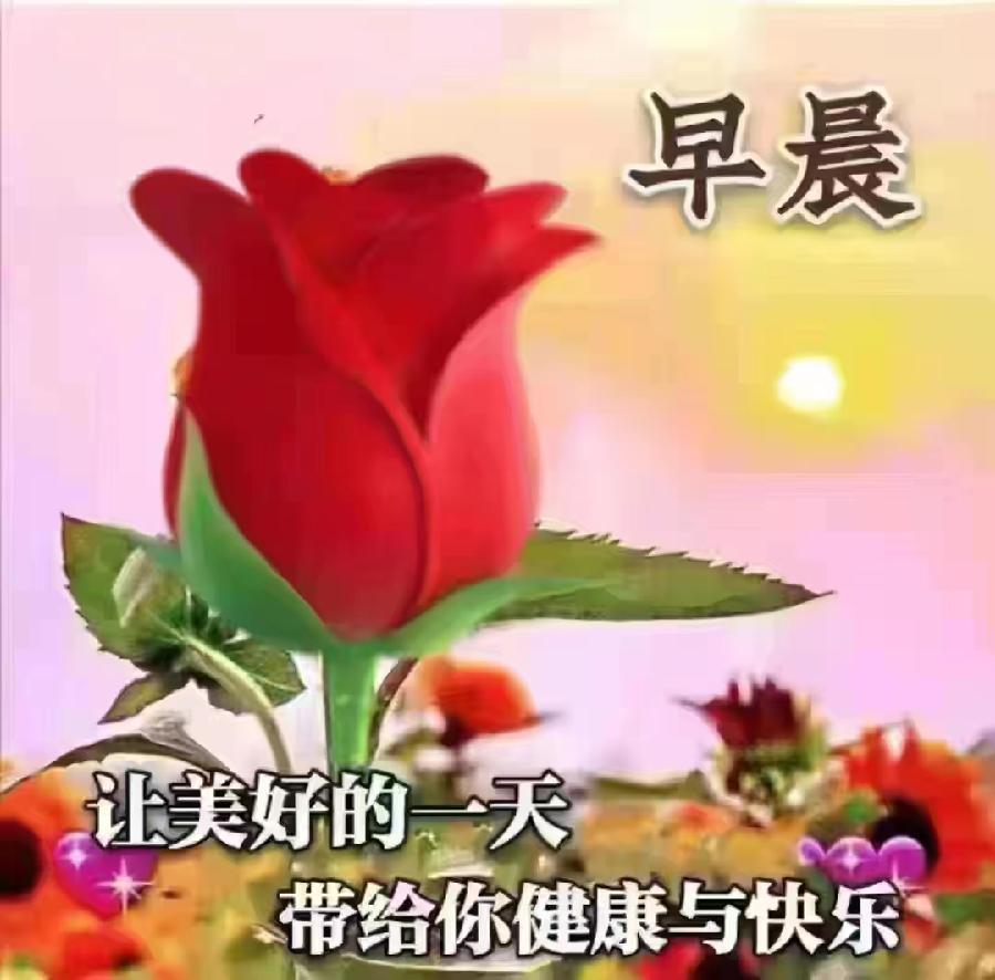 朱江萍老师精彩早安心语(图8)