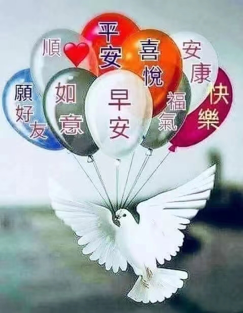 朱江萍老师精彩早安心语(图11)