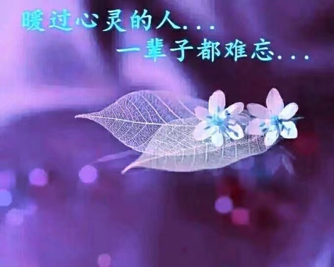 《爱在红墙内的秋雨》(此文:献给工作的地方)原创/南轩徐筱(南京)【冰心文化传媒】主编 冰心(图6)