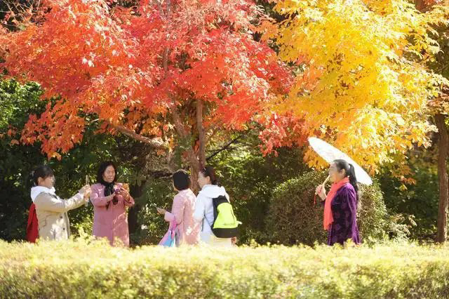 彦忠老师诗两首 主播：雪绣冰绮 编辑：小鱼儿 【北疆头条】（第249期）（图6）