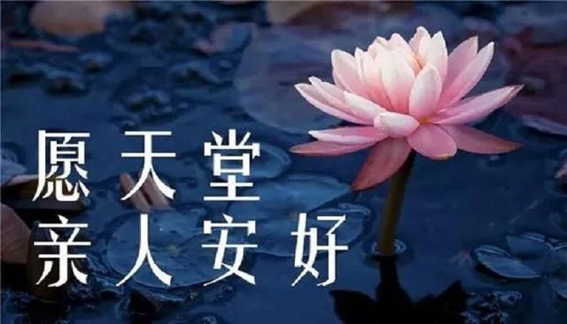 中华诗艺九江格律诗词精品鉴赏(合辑)第1460期(图48)