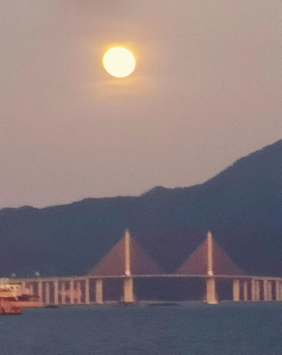 【海上生明月】文／磊怀