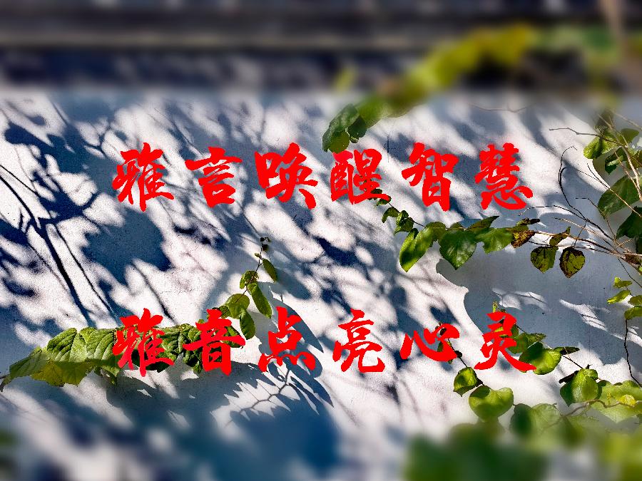 汪泽/《故地言怀五绝句》诵读/贝文【苏河清音】上海头条【第951期】(图11)
