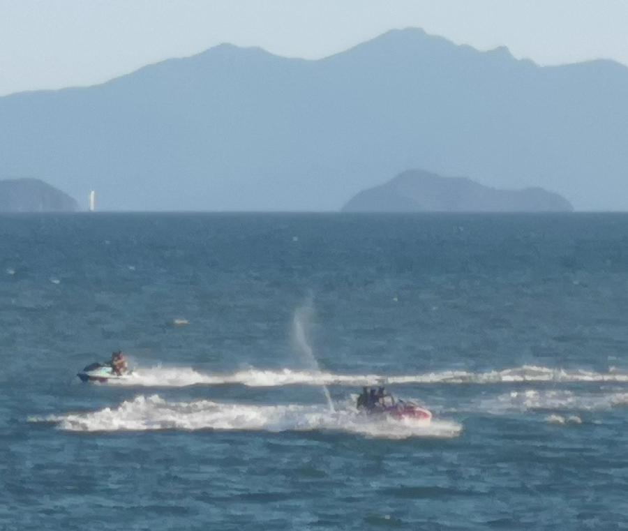 【海上生明月】文／磊怀（图15）