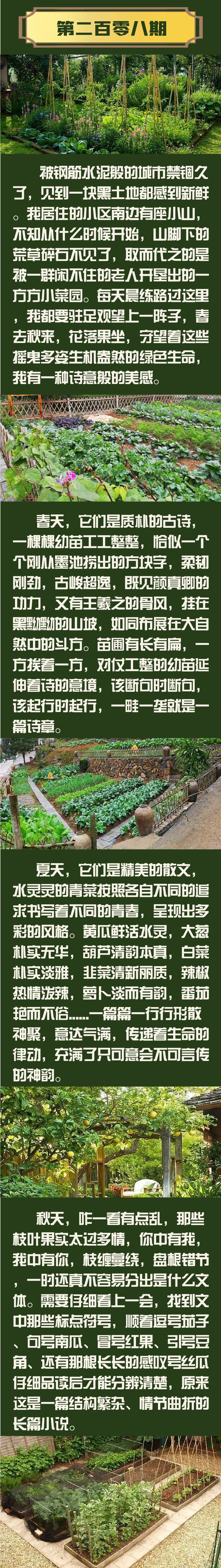 闂瑰競涓殑灏忚彍鍥?-2.png
