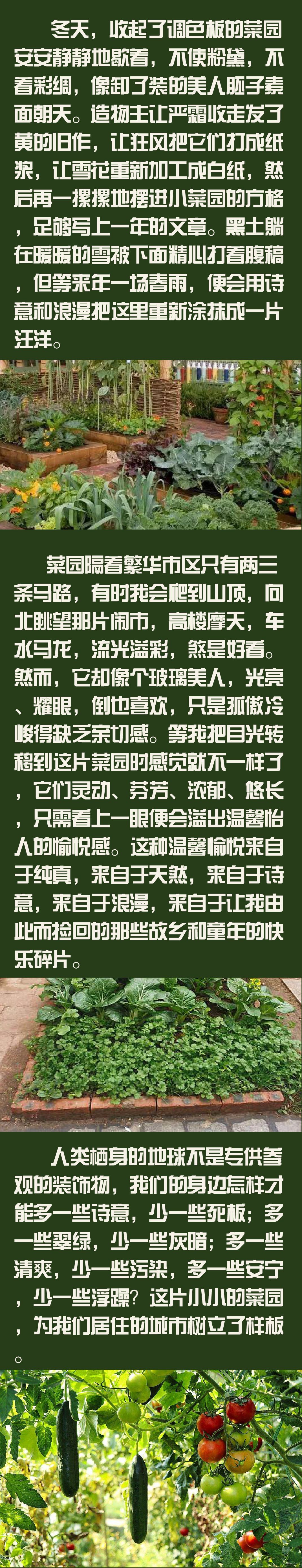 闂瑰競涓殑灏忚彍鍥?-3.png