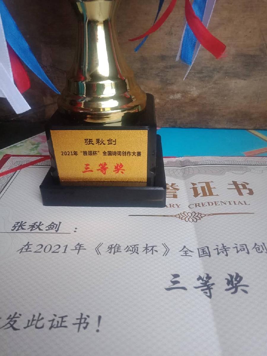《凤鸣园》第16期王过关梁文君王建华马汉任茹意等人诗词书画(图114)