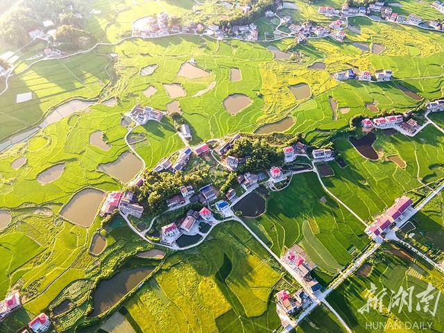 《凤鸣园》第16期王过关梁文君王建华马汉任茹意等人诗词书画(图22)