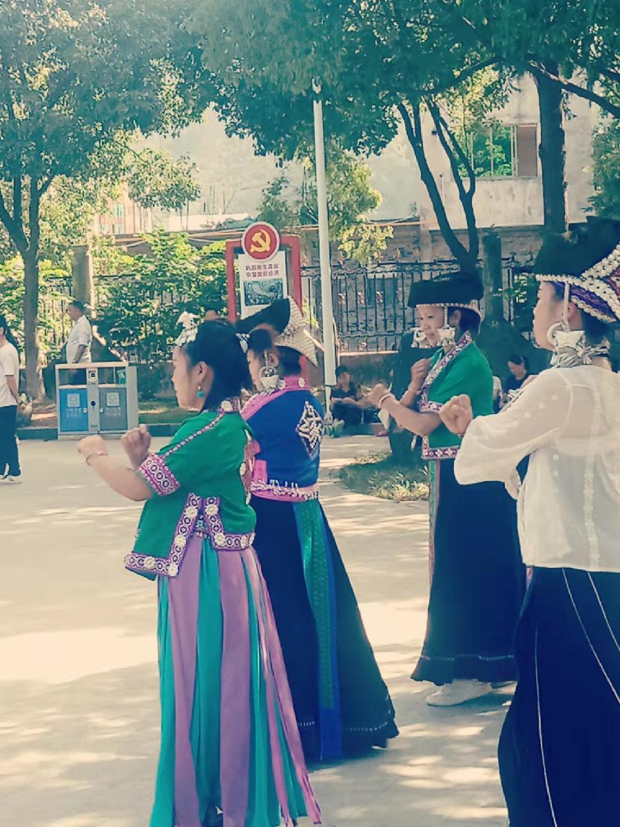 《凤鸣园》第16期王过关梁文君王建华马汉任茹意等人诗词书画(图73)