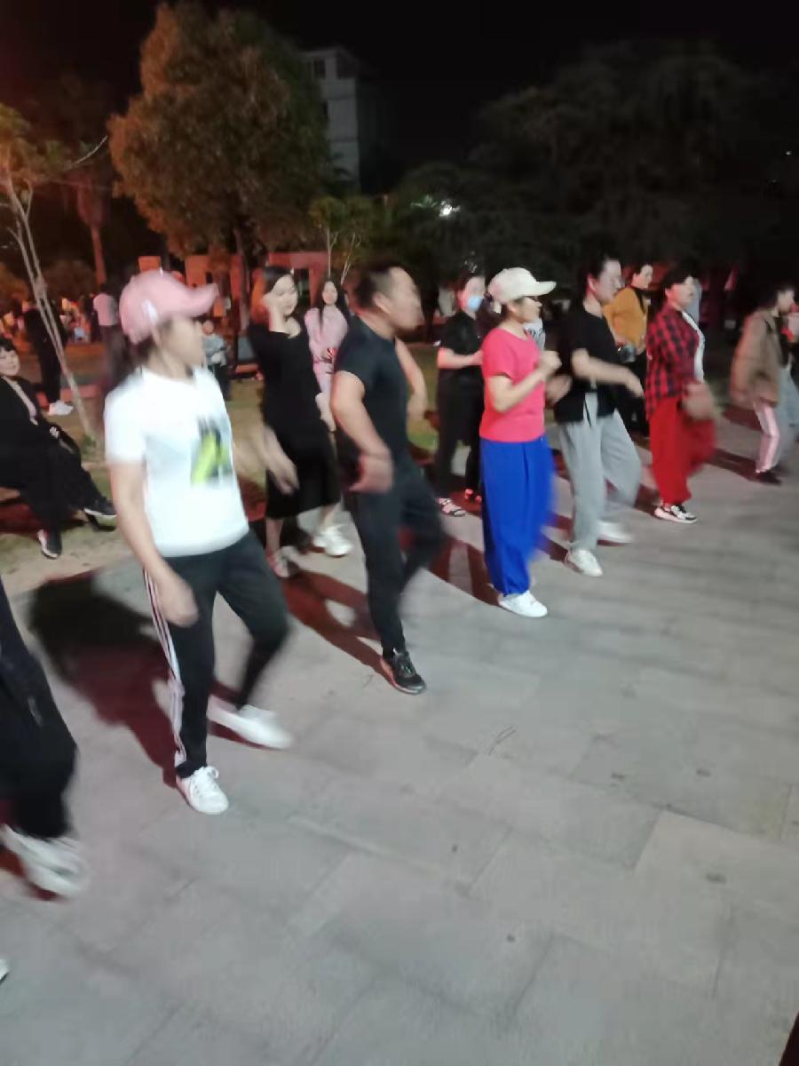 《凤鸣园》第16期王过关梁文君王建华马汉任茹意等人诗词书画(图79)