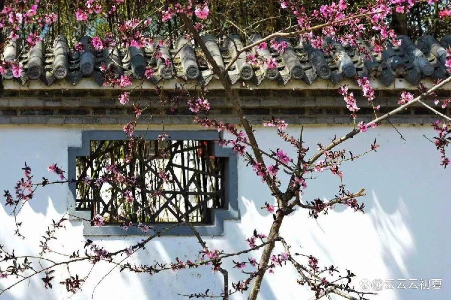 《0541-现代诗絮》(图18)