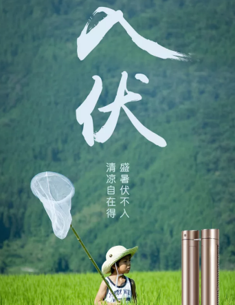 入伏赋文/王同福（图3）