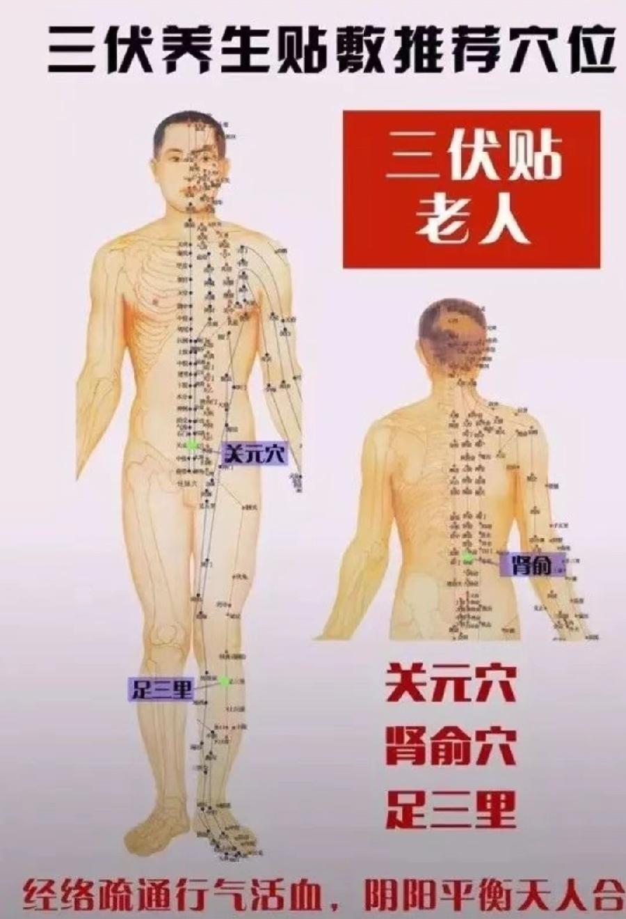 【中艾国灸】七律•驱寒补阳三伏灸（组诗）作者：冷军油（张富贵）北京头条•西安头条•都市头条发布！（图18）