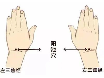 【中艾国灸】七律•驱寒补阳三伏灸（组诗）作者：冷军油（张富贵）北京头条•西安头条•都市头条发布！（图38）