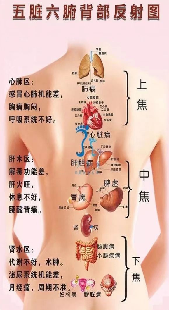 【中艾国灸】七律•驱寒补阳三伏灸（组诗）作者：冷军油（张富贵）北京头条•西安头条•都市头条发布！（图44）