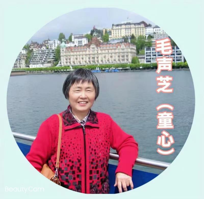 巴黎文学苏沪浙分社002期微刊《祝贺巴黎文学苏沪浙分社首刊阅读量超廿万》(图94)