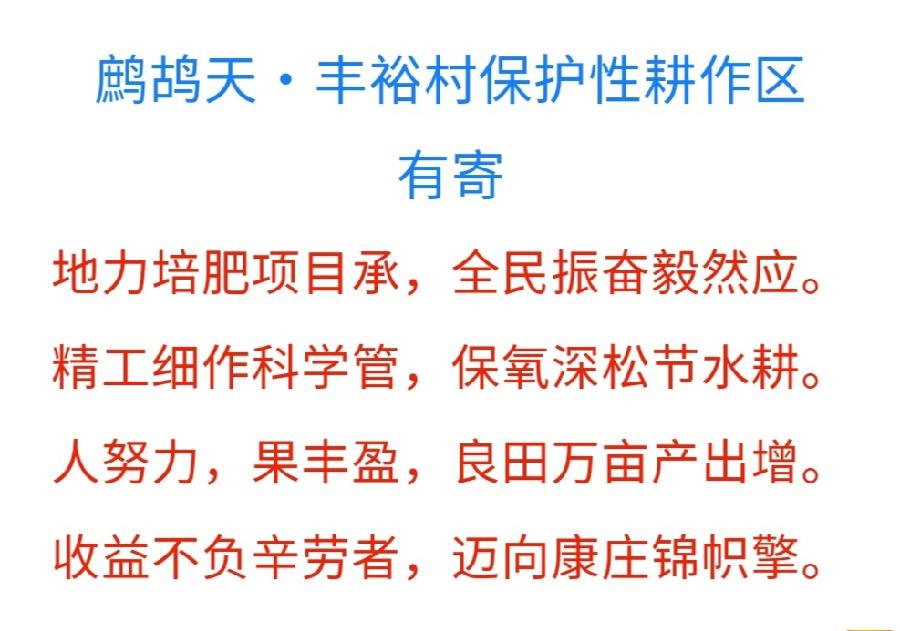 张健夫:诗咏巴彦县红光乡丰裕村(原创)(图10)
