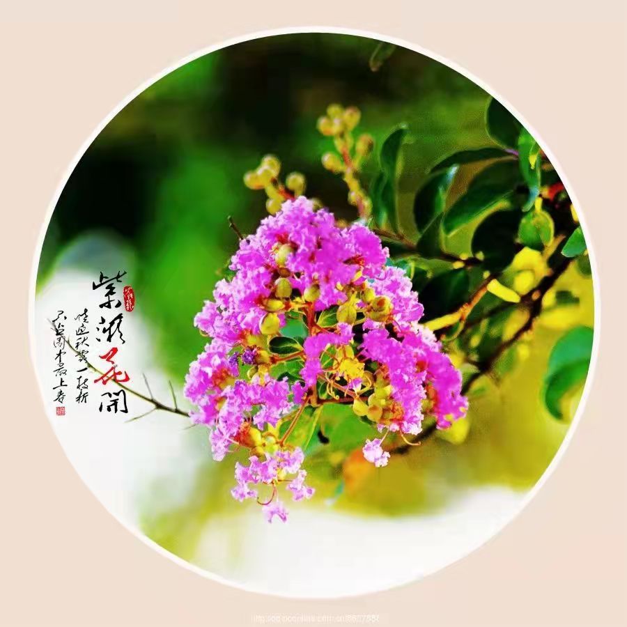 【中国文苑】邵德库专辑第6辑/精品诗词特辑(图10)