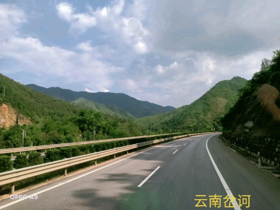 《故道文化》“消夏”参赛作品：第20号（图5）