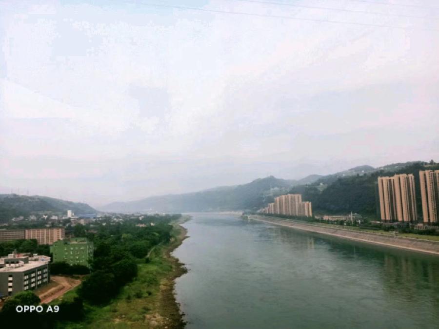 《故道文化》“消夏”参赛作品：第20号（图7）
