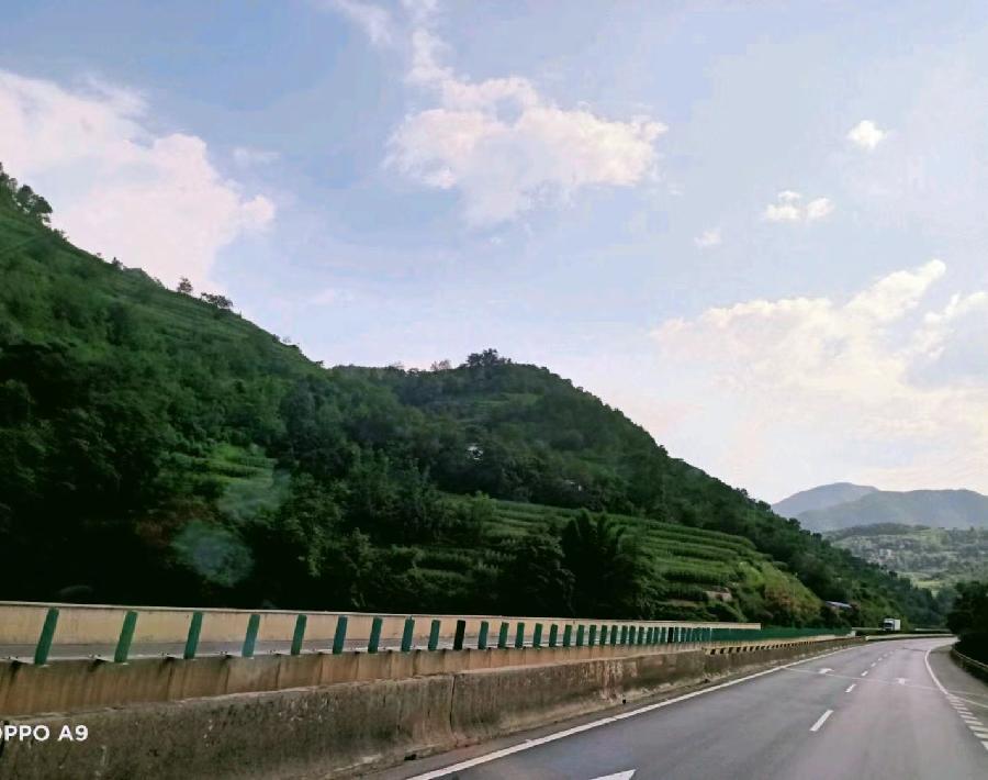 《故道文化》“消夏”参赛作品：第20号（图13）
